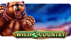 Wild Country™
